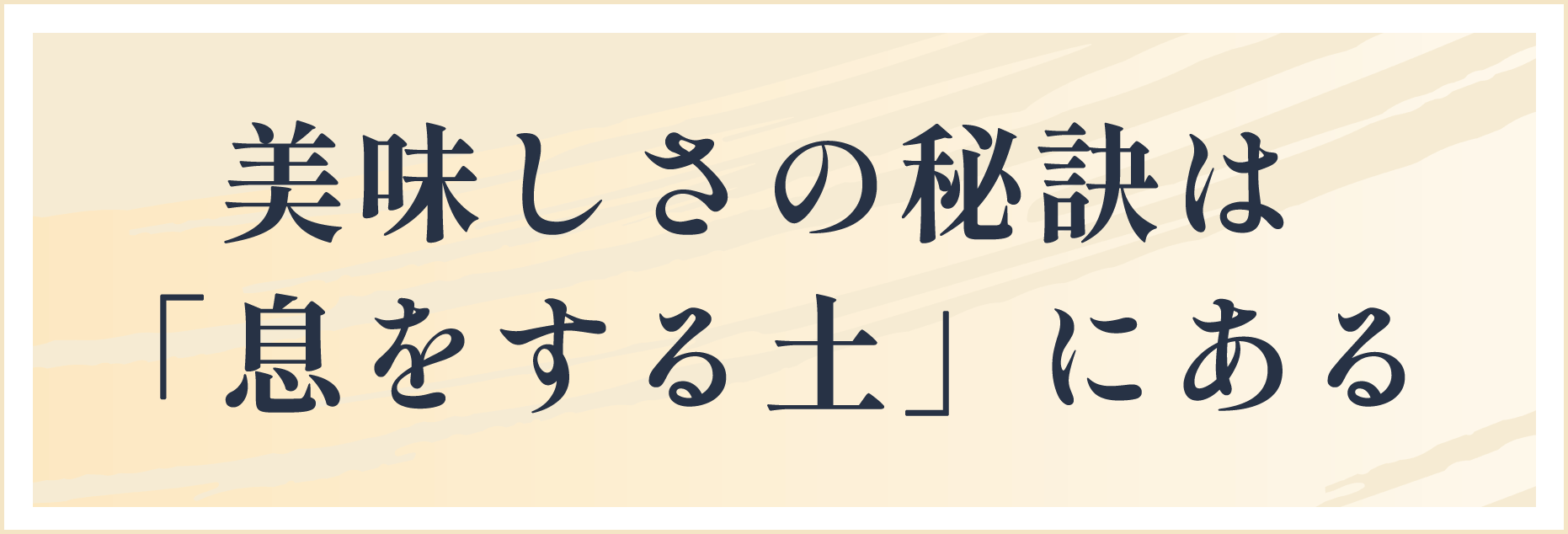 美味しさの秘訣は息をする土にある