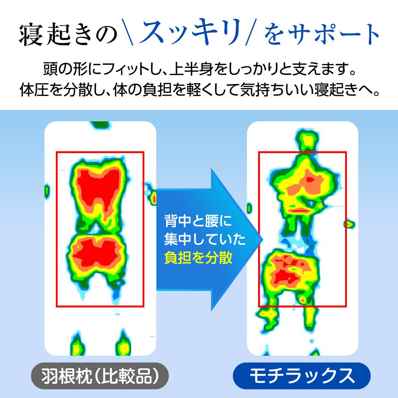 モチラックス motilax 大判クッションピロー 枕 | TVショッピング | プライムダイレクト ｜ 株式会社プライムダイレクト